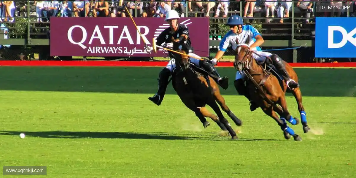 🔥 赛事盛宴,见证每一刻荣耀!